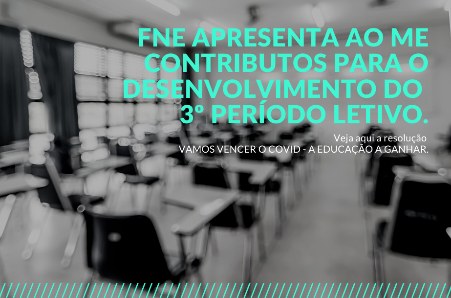 FNE apresenta ao ME contributos para o desenvolvimento do 3º período letivo