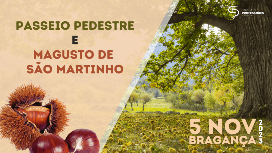 Magusto de São Martinho em Bragança